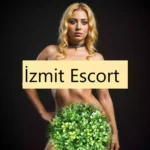Kocaeli Farklı Hazveren Escort