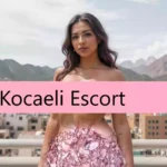 Arabada Veren Kocaeli Escort - Kocaeli Escort Bayan
