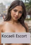 Kocaeli Escort Görüşmeleri Nelere Dikkat Etmelisiniz
